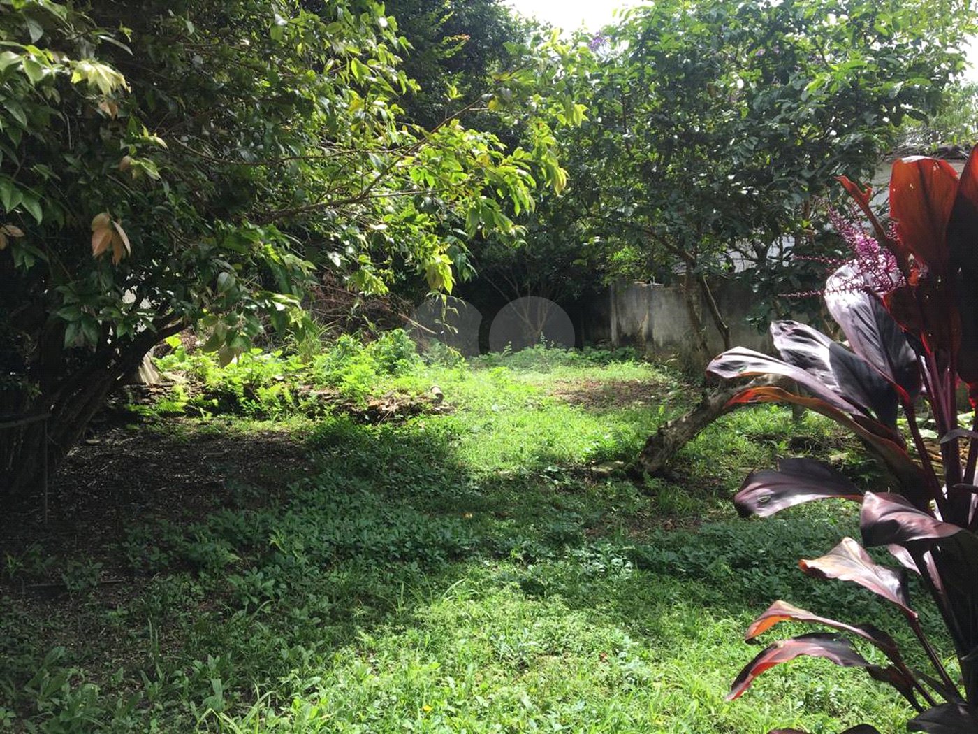 Casa à venda com 2 quartos em Horto, São Paulo, SP