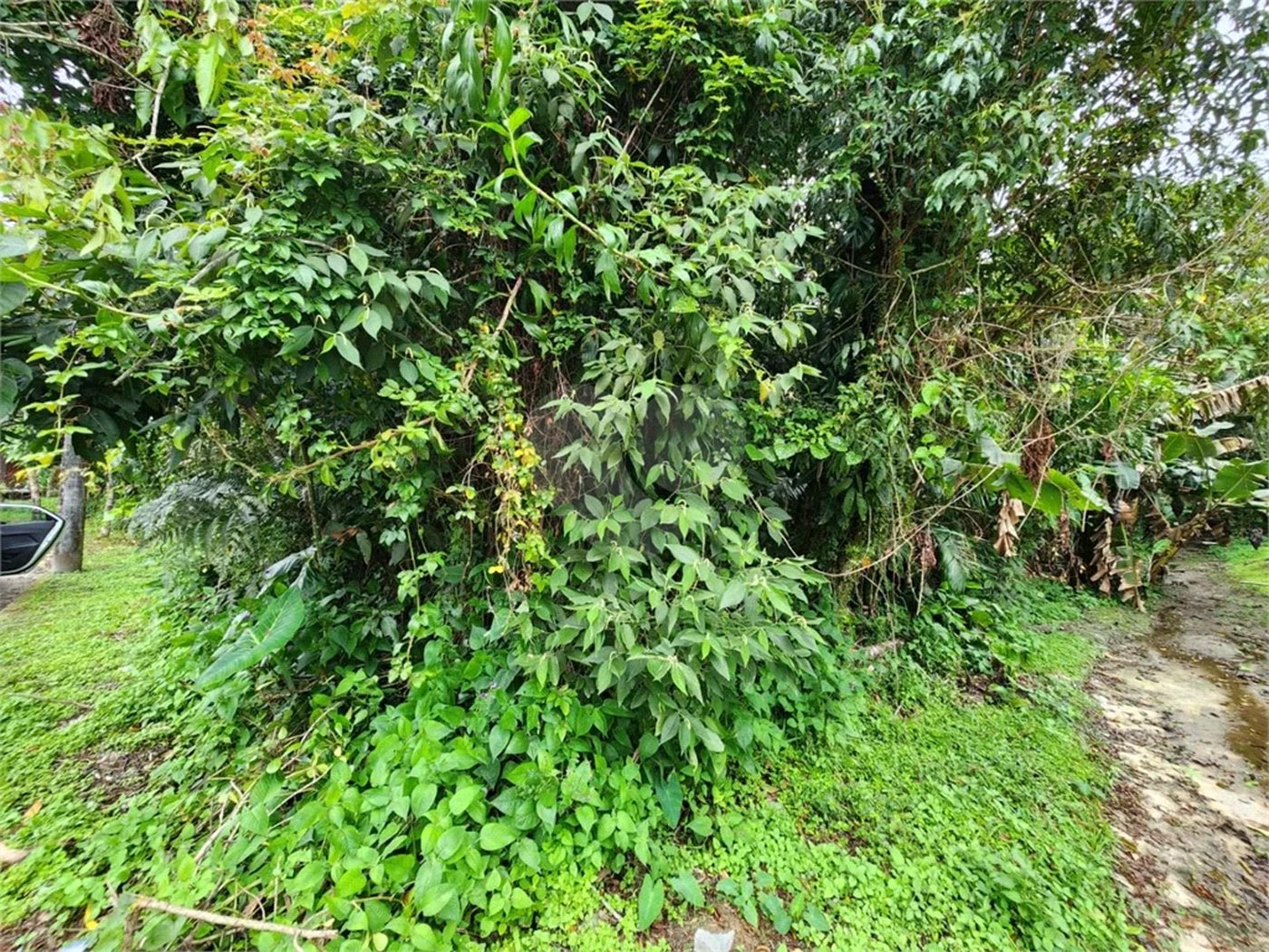 Terreno à venda em Riviera de São Lourenço, Bertioga, SP