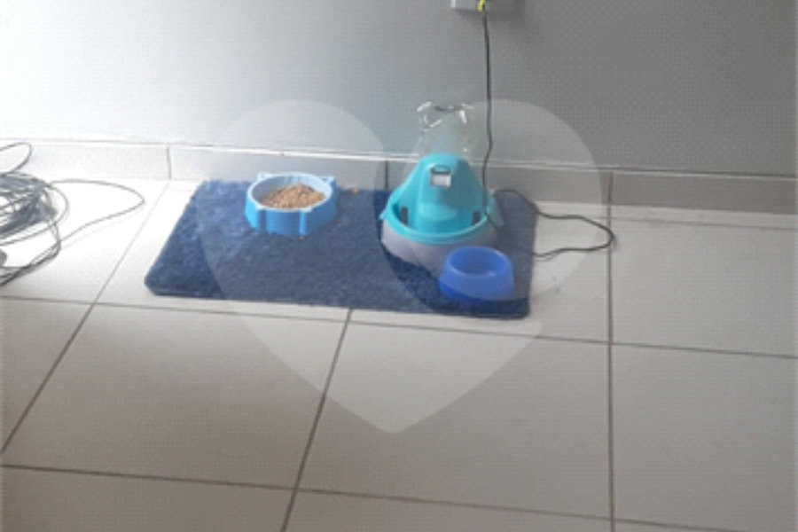 Sobrado à venda com 3 suítes em Jaraguá, São Paulo, SP
