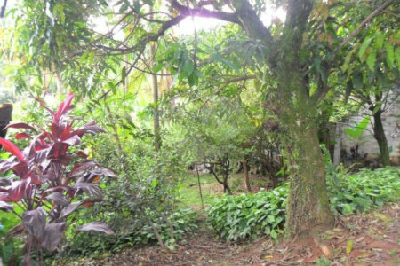 Sobrado à venda com 3 quartos, sendo 1 suíte,  em Vila São Francisco, São Paulo, SP