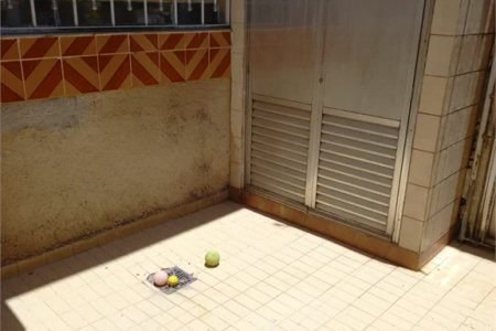 Sobrado à venda com 2 quartos em Vila Ipojuca, São Paulo, SP