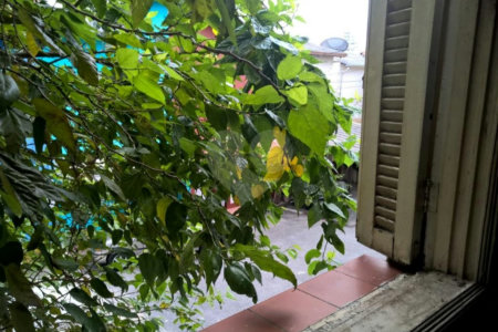 Casa à venda com 2 quartos em Cambuci, São Paulo, SP