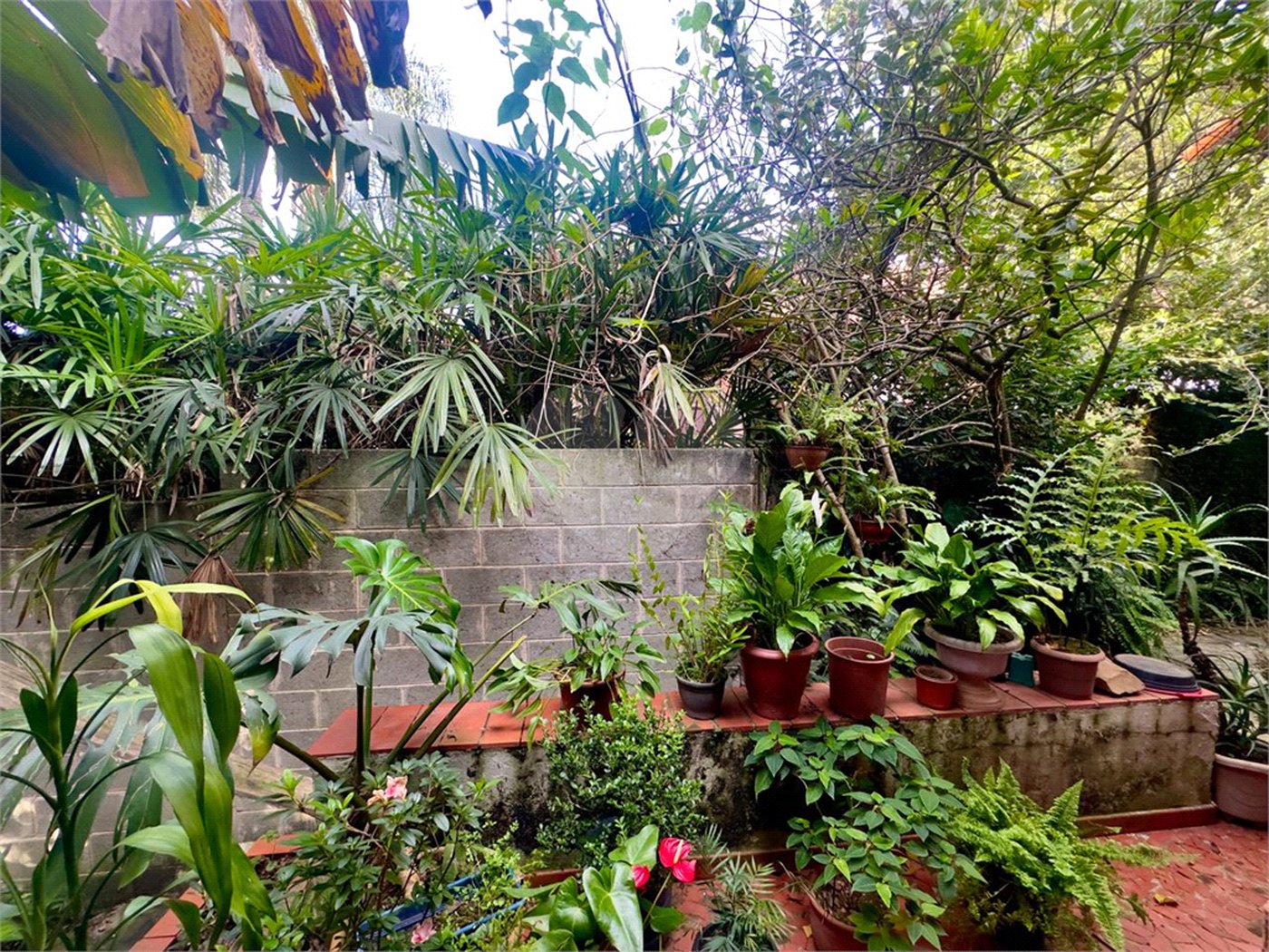 Casa à venda com 3 quartos em Horto, São Paulo, SP
