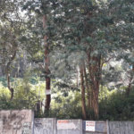 Terreno à venda ou para alugar em Vila Andrade, São Paulo, SP