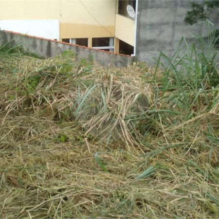 Terreno à venda em Jardim do Trevo, Atibaia, SP