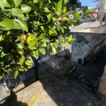 Terreno à venda com 2 quartos em Pirituba, São Paulo, SP