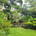 Casa à venda com 4 suítes no condomínio Espaço Natureza, São Paulo - SP