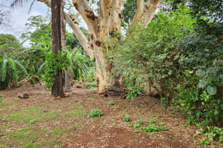 Chácara à venda com 2 quartos em Jardim Califórnia, Araraquara, SP