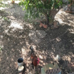 Chácara à venda com 3 quartos, sendo 1 suíte, em Parque das Bandeiras, Indaiatuba, SP