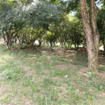 Terreno à venda em Planalto Verde, São Roque, SP