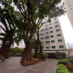 Apartamento à venda com 2 quartos em Bela Aliança, São Paulo, SP