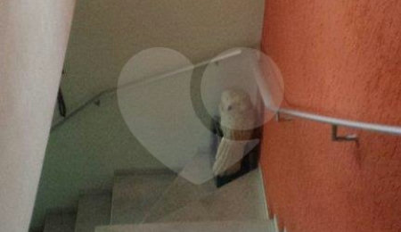 Casa à venda com 3 quartos, sendo 1 suíte,  no condomínio Travessa Bruno Andreoni,16, São Paulo - SP