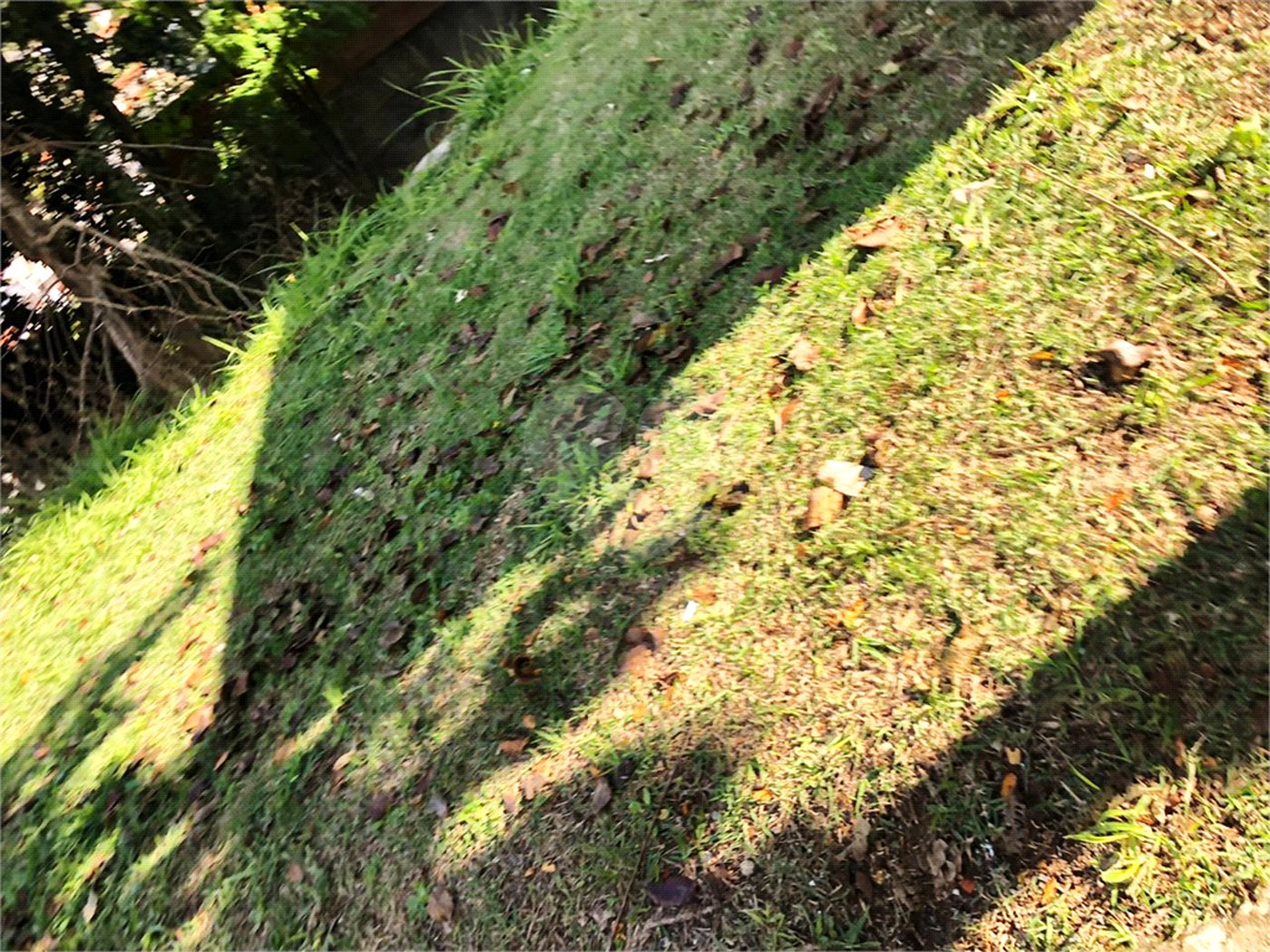 Terreno à venda em Horto, São Paulo, SP