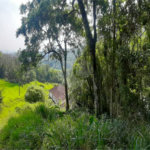 Casa Térrea à venda com 3 quartos, sendo 1 suíte, em Rio Abaixo, Mairiporã, SP