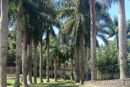 Casa à venda com 3 suítes em Jardim Haras Bela Vista, Vargem Grande Paulista, SP