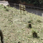 Terreno à venda no condomínio Parque Imperial da Cantareira, Mairiporã - SP