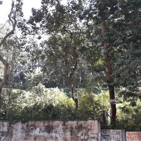 Terreno à venda em Vila Andrade, São Paulo, SP