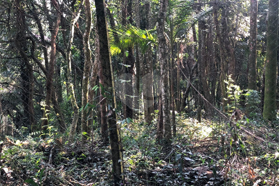 Terreno à venda em Roseira, Mairiporã, SP