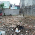 Prédio à venda com 12 quartos em Tremembé, São Paulo, SP