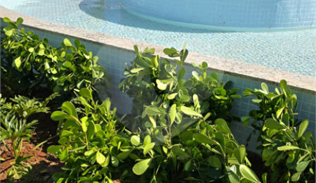 Terreno à venda no Centro, Araraquara, SP