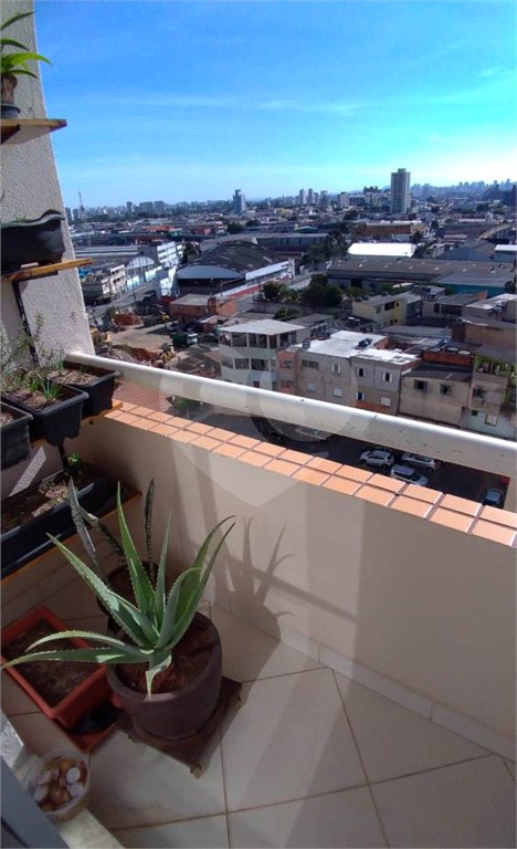 Apartamento à venda com 3 quartos em Parque Novo Mundo, São Paulo, SP