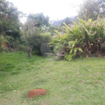 Terreno para alugar em Jardim Rene, São Roque, SP