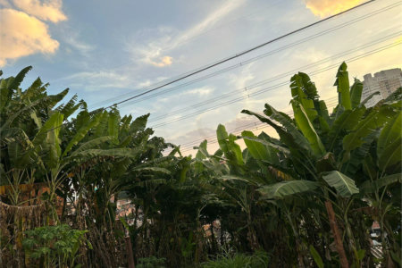 Terreno à venda em Tucuruvi, São Paulo, SP