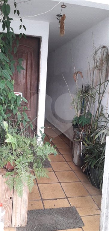 Casa à venda com 3 quartos em Vila do Castelo, São Paulo, SP