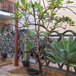 Sobrado à venda com 3 quartos, sendo 1 suíte, em Jardim Saira, Sorocaba, SP