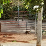 Apartamento a venda no Botafogo