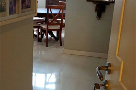 Apartamento Residencial à venda, Boqueirão, Santos - AP0415.