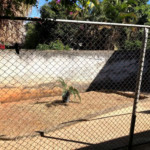 Terreno à venda em Vila Carvalho, Sorocaba, SP