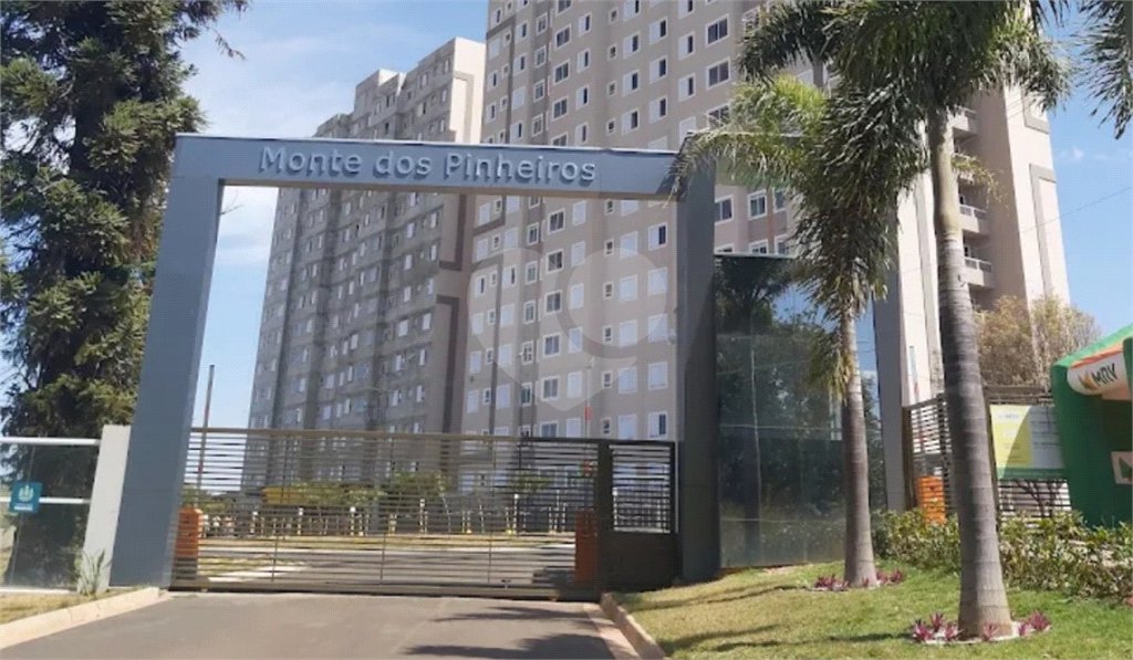 Monte dos Pinheiros — o começo de uma nova fase para sua família