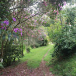 Chácara à venda com 3 quartos, sendo 1 suíte, em Jardim 21 de Março, Louveira, SP