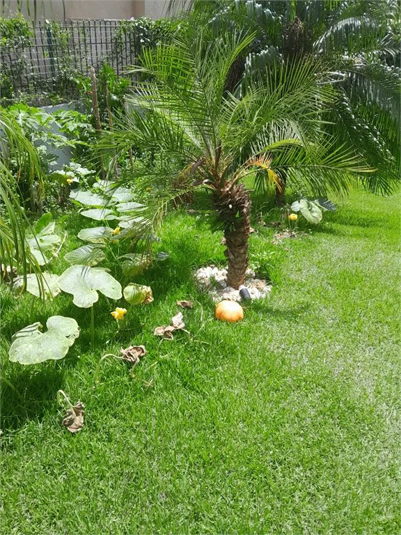 Casa à venda com 3 suítes em Moinho Velho, Cotia, SP