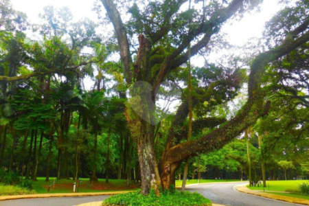 Terreno à venda em Alto da Boa Vista, São Paulo, SP