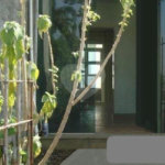 Sobrado à venda com 6 quartos, sendo 1 suíte, em Jardim São Paulo(zona Norte), São Paulo, SP