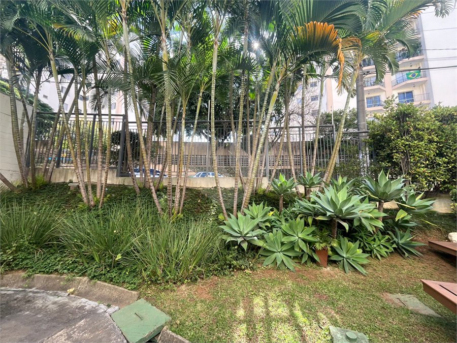 Apartamento à venda com 3 quartos, sendo 1 suíte, em Vila Amélia, São Paulo, SP
