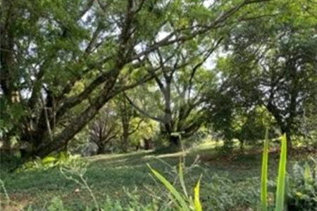 Sítio à venda com 2 quartos em Vila Brasileira, Itatiba, SP