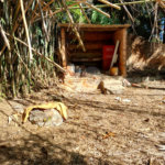 Terreno à venda em Protestantes, Votorantim, SP
