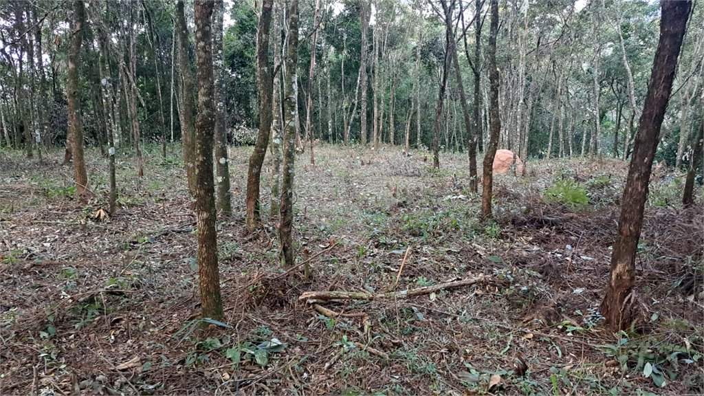 Terreno à venda em Serra da Cantareira, Mairiporã, SP