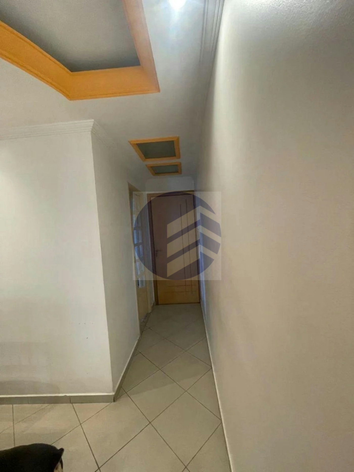 Apartamento à venda com 3 quartos em Vila Lageado, São Paulo - SP