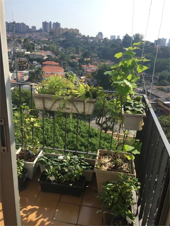 Apartamento à venda com 2 quartos em Vila Progredior, São Paulo, SP
