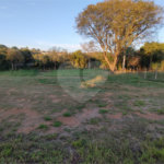 Terreno à venda em Chácara Santo Antônio, Araçoiaba da Serra, SP