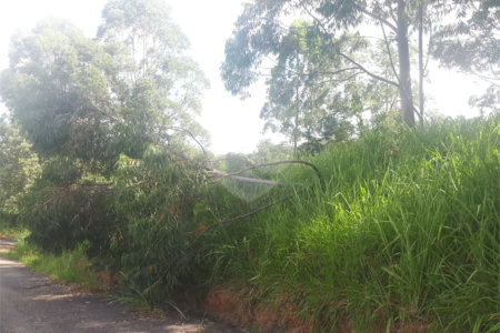 Terreno à venda em Vale Verde, Valinhos, SP