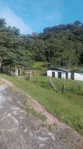 Sítio com 10 dormitórios à venda, 120000 m² por R$ 1.650.000,00 - Bairro Carmo Messias - Ibiúna/SP
