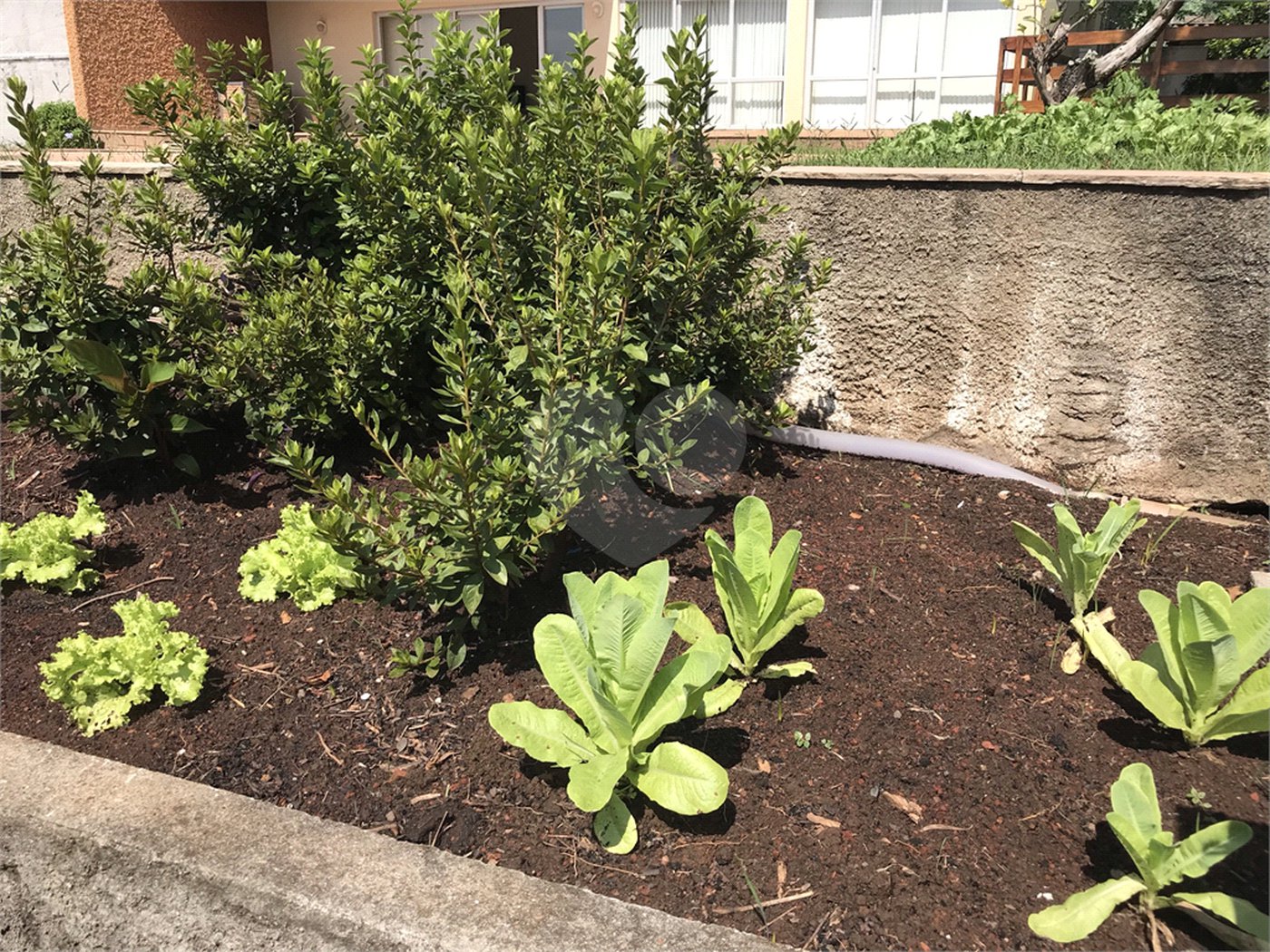 Sobrado à venda com 5 quartos, sendo 1 suíte, em Jardim São Bento, São Paulo, SP