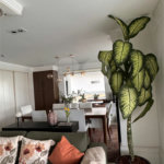 Apartamento à venda com 3 suítes em Vila Andrade, São Paulo, SP