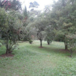 Terreno à venda com 1 quarto, sendo 2 suítes, em Horto Florestal, São Paulo, SP