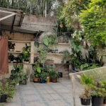 Terreno à venda em Tucuruvi, São Paulo, SP